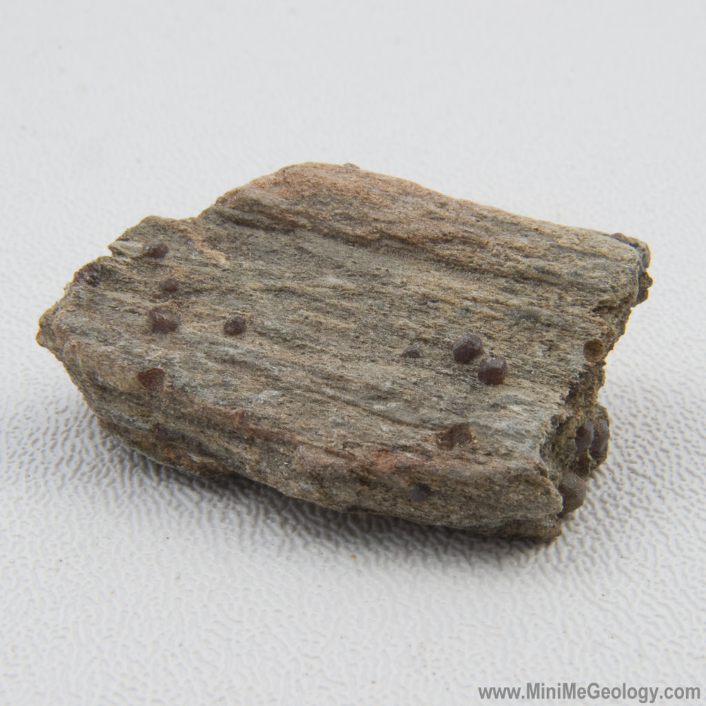 Garnet Schist Metamorphic Rock - Mini Me Geology
