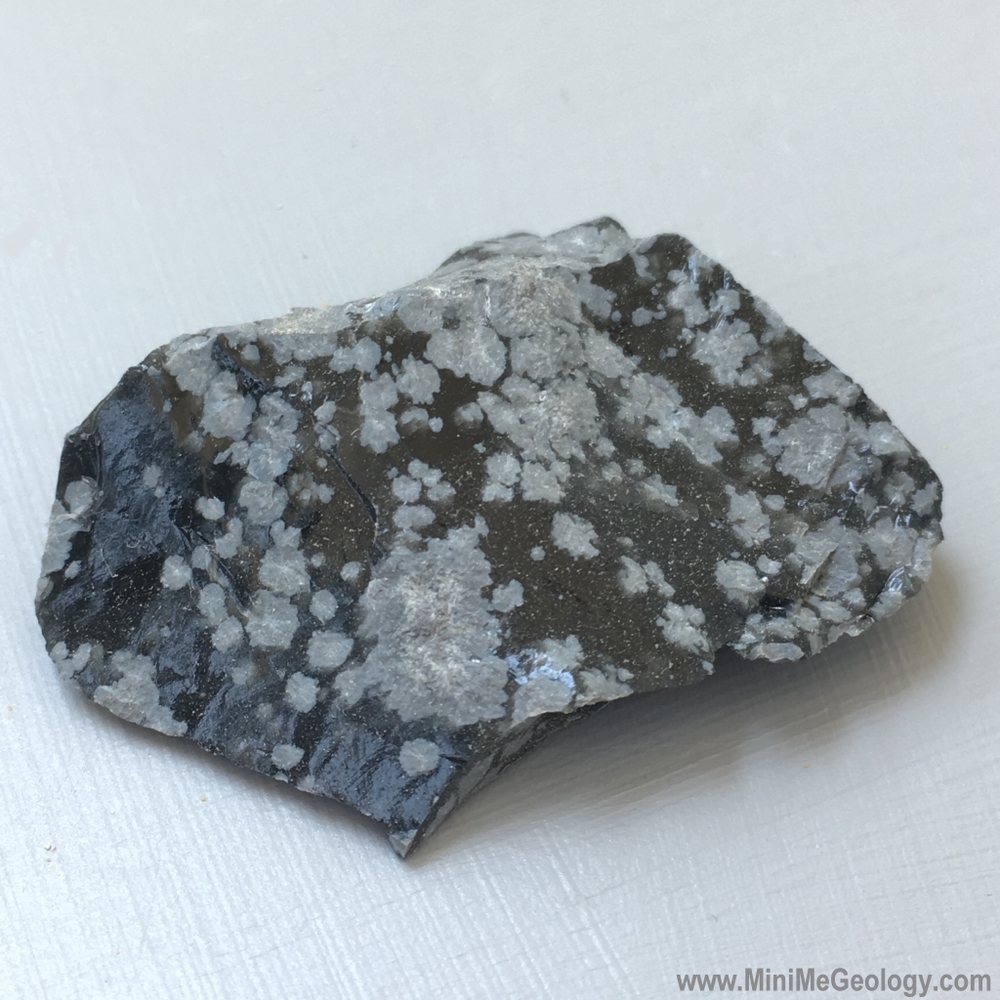 Snowflake Obsidian Igneous Rock Mini Me Geology